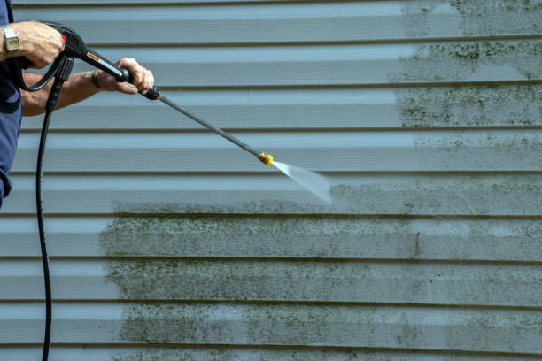 Best Pressure Washing Brick  in Mount Shasta, CA
